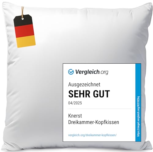 Made in Germany Daunenkissen 80x80 cm -...